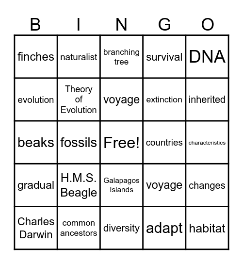 Evolution Bingo Card