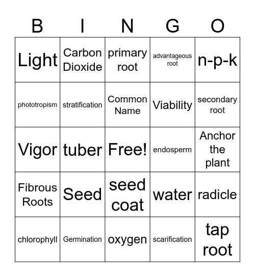 Seeds & Germination Bingo Card
