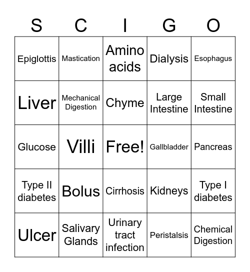 Digestive System Review Bingo Card