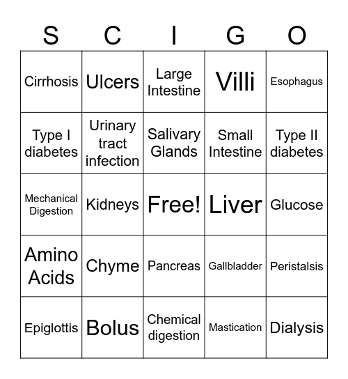 Digestive System Review Bingo Card