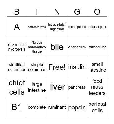 Human Body Systems Bingo Card
