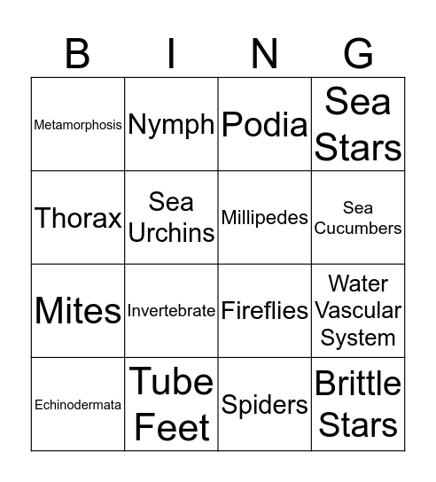 Arthropods, Echinoderms, and Insects Bingo Card