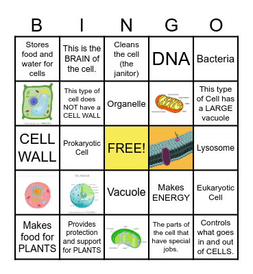 CELL Bingo Card