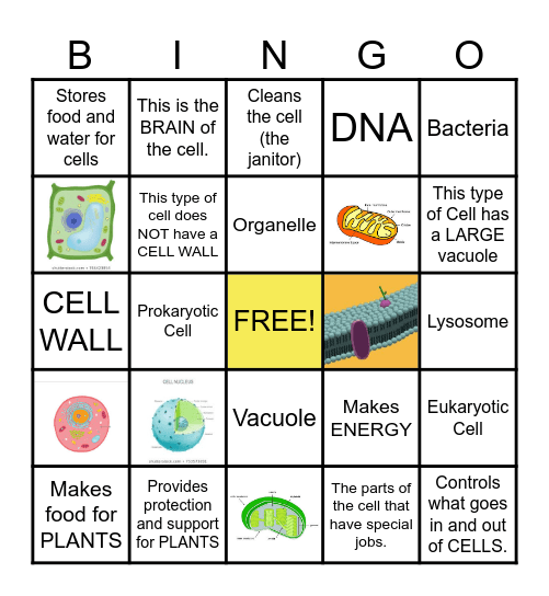 CELL Bingo Card