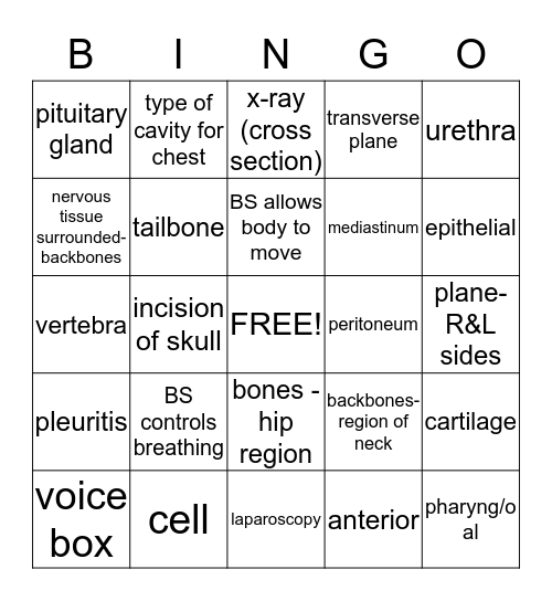 MEDICAL TERMINOLOGY QUIZ 2 Bingo Card