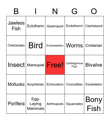 Animal Classification Bingo Card