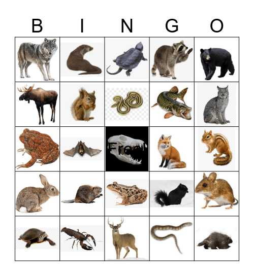 Northern Ontario Animals Bingo Card
