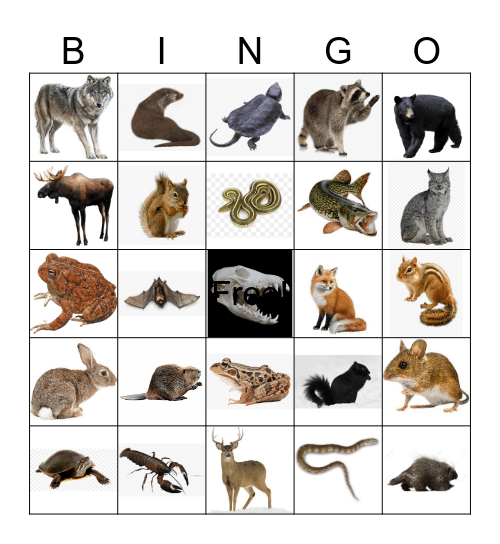 Northern Ontario Animals Bingo Card
