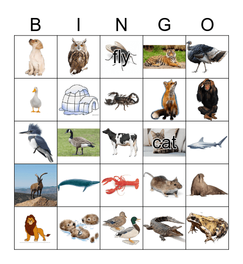 Animals Bingo Card