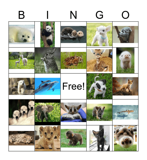 Baby Animals Bingo Card
