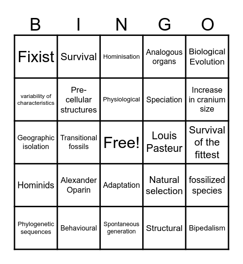 Evolution BINGO Card