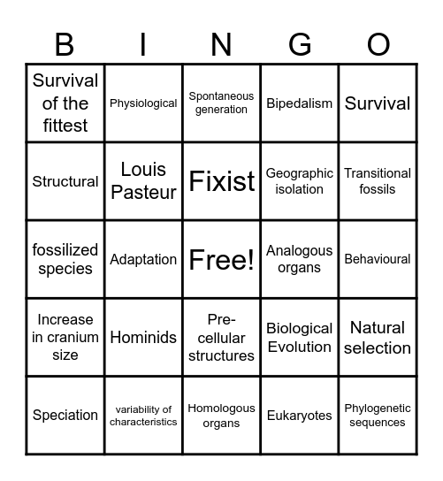 Evolution BINGO Card