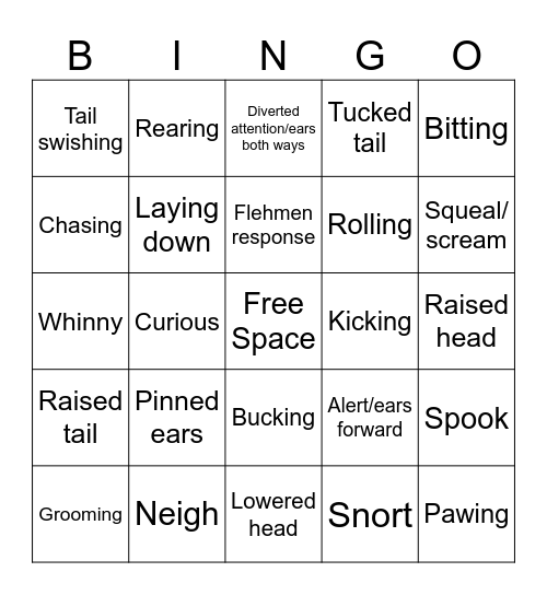 Horse Behavior Bingo Card