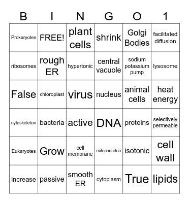 Cells & Cell Processes Bingo Card