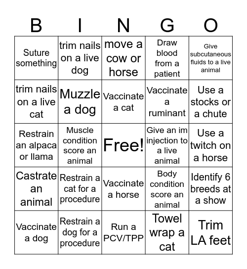 Y1 Bingo Card