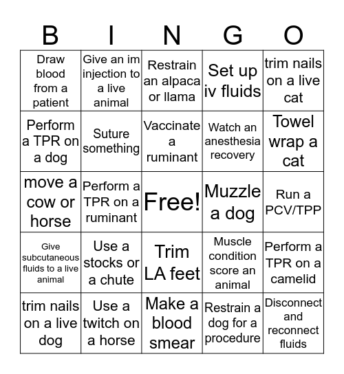 Y1 Bingo Card