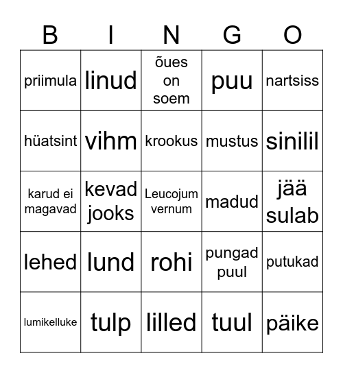 Kevad Bingo Card