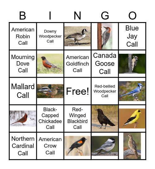 Wisconsin Bird Bingo Card