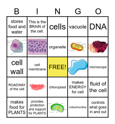 Organelle Bingo Card