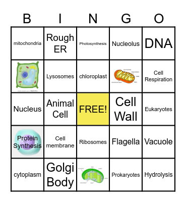 CELL Bingo Card