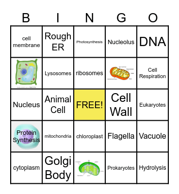 CELL Bingo Card
