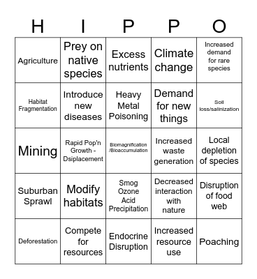 HIPPO Bingo Card