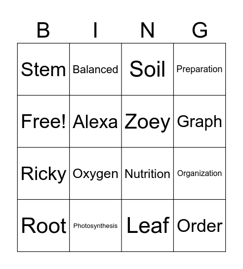 Vocabulary Bingo Card