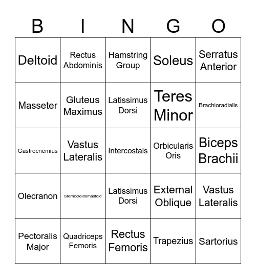 Muscular System Bingo Card