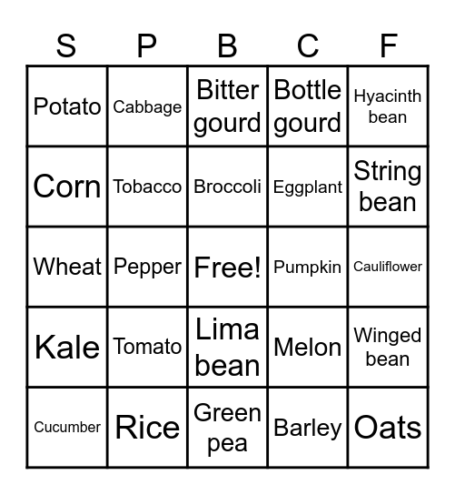Crop Families Bingo Card