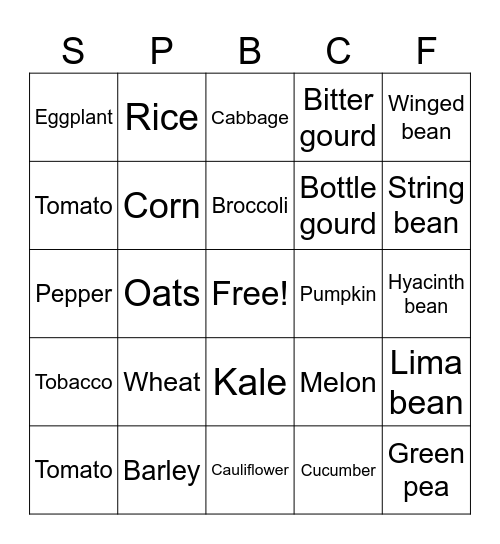 Crop Family Bingo Card