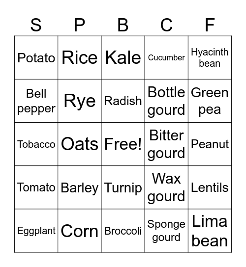 Crop Family Bingo Card