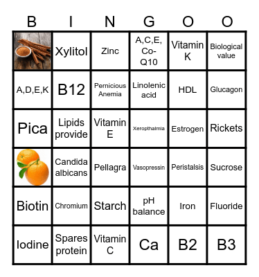 Nutrition Final Review Bingo Card