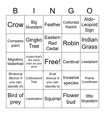 WSC Wildlife Society- Spring Bingo Card