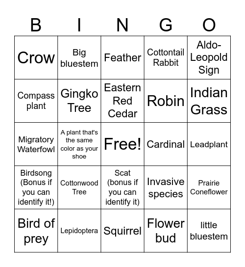 WSC Wildlife Society- Spring Bingo Card