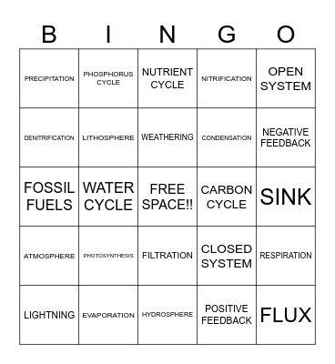 Nutrient Cycles Bingo Card