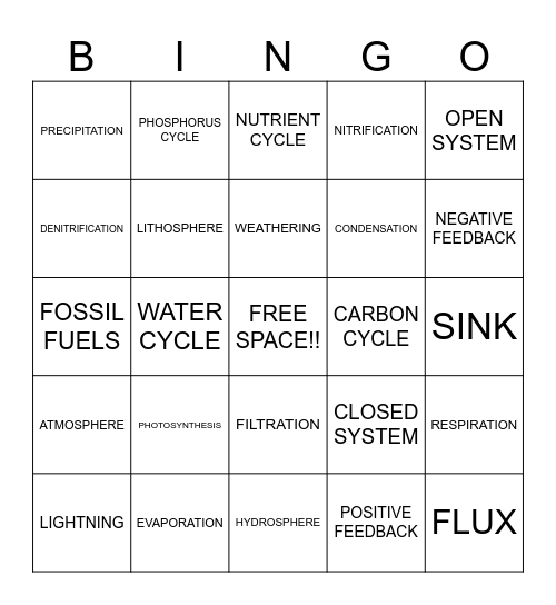 Nutrient Cycles Bingo Card