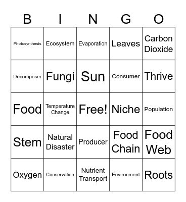 5th Vocab Review Bingo Card