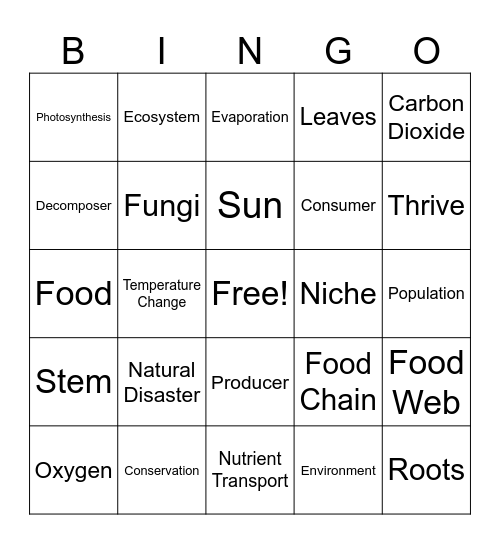 5th Vocab Review Bingo Card