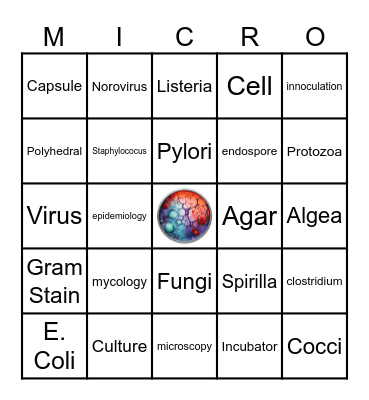 ASM BINGO Card