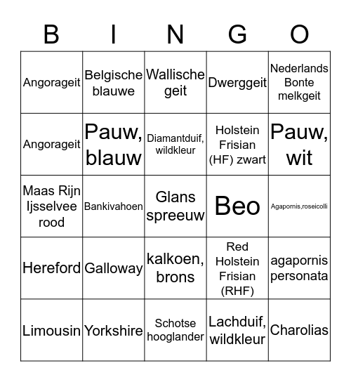 Rassenbingo Card