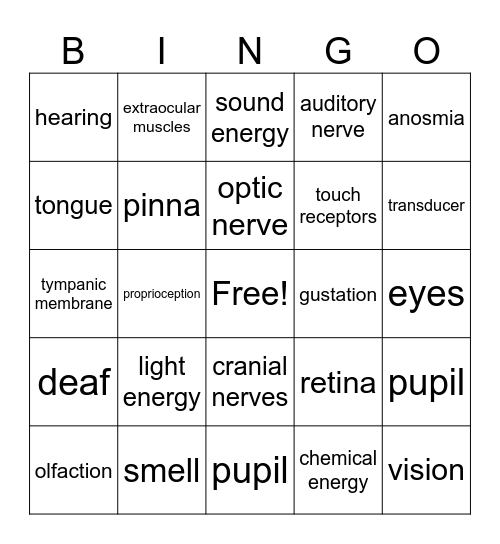 Sensory Bingo Card