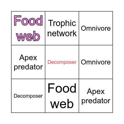 Food Chain BINGO Card