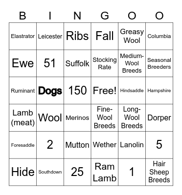 Intro to Ag - Sheep Industry Bingo Card