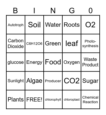 Photosynthesis Bingo Card
