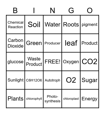 Photosynthesis Bingo Card