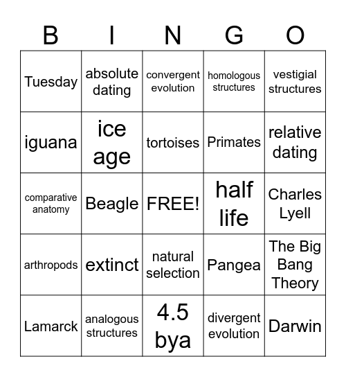 Gilchrist Evolution Bingo Card