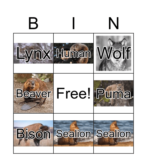 Wild Animals Bingo Card