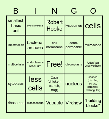 Cell Bingo Review Game Bingo Card