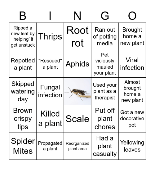 Houseplant Bingo Card