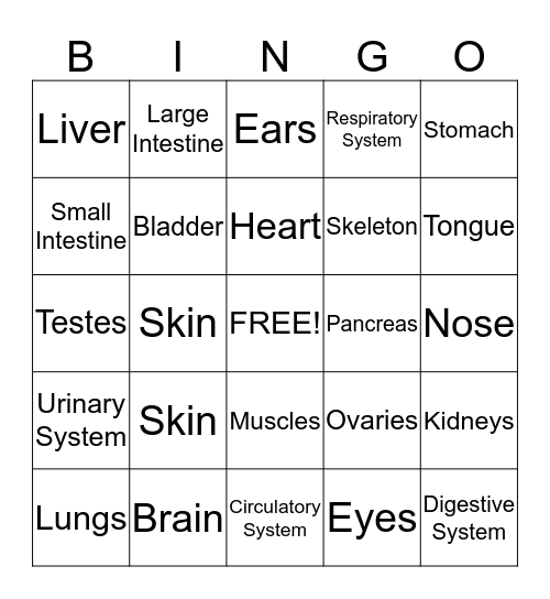 The Human Body  Bingo Card